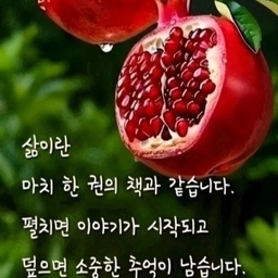 피드에 업로드 된 이미지