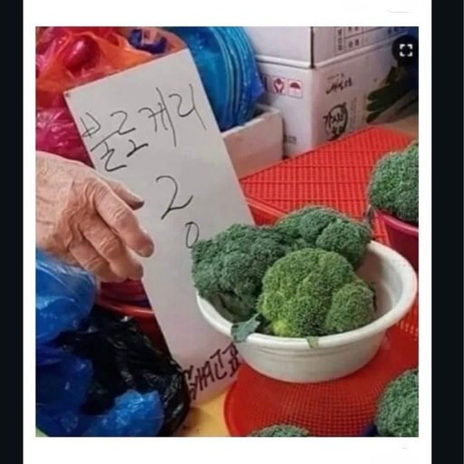 피드 이미지