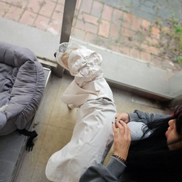 피드에 업로드 된 이미지