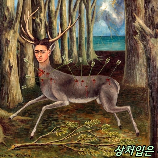 피드 이미지