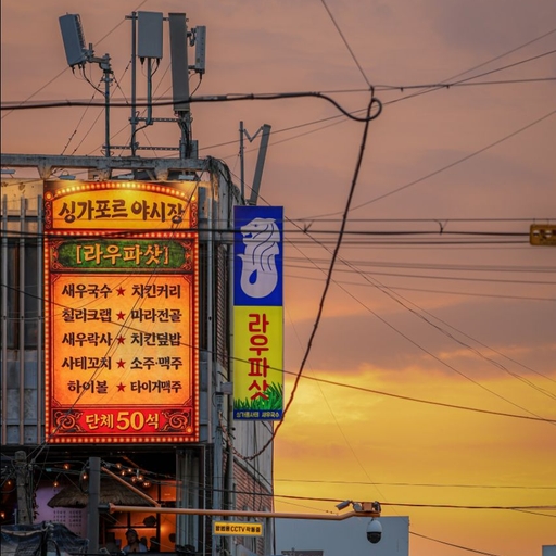 피드 이미지