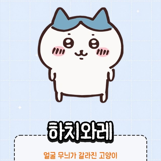 피드 이미지