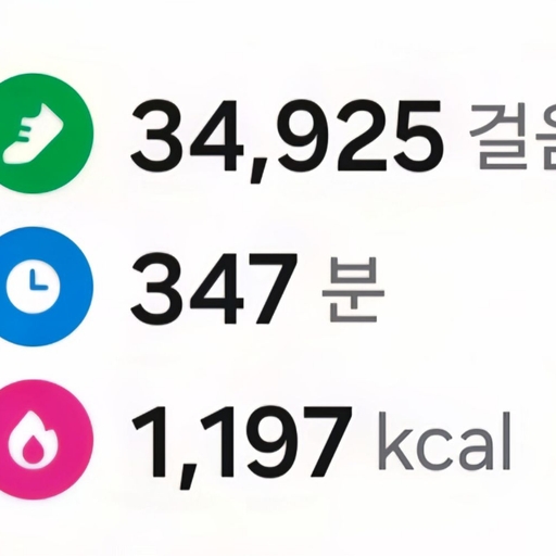 피드 이미지