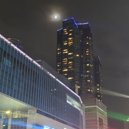 피드에 업로드 된 이미지