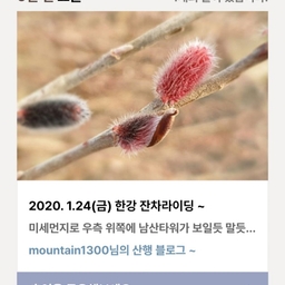 피드에 업로드 된 이미지