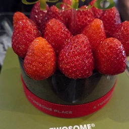 피드에 업로드 된 이미지