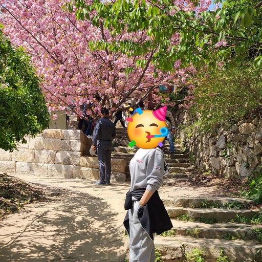 피드 이미지