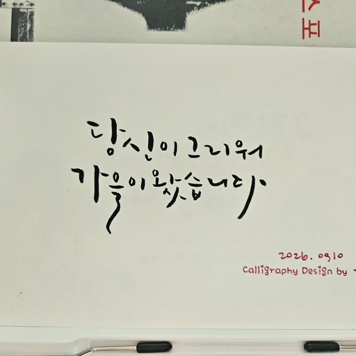 피드 이미지