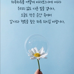 피드에 업로드 된 이미지