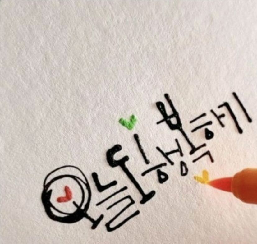 피드 이미지