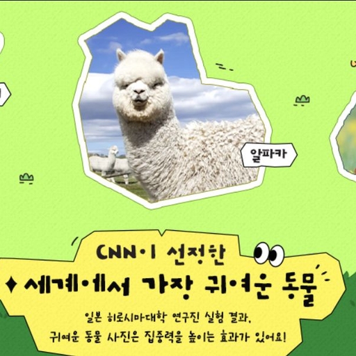 피드 이미지