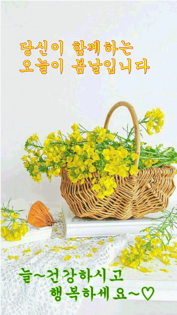 ํผ๋์ ์
๋ก๋ ๋ ์ด๋ฏธ์ง