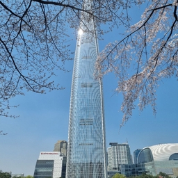 피드에 업로드 된 이미지