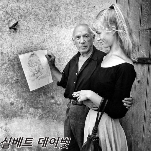 피드 이미지
