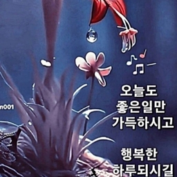 피드에 업로드 된 이미지