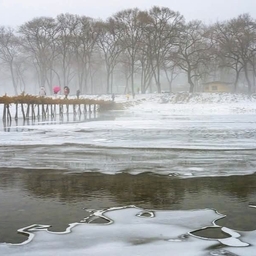 피드에 업로드 된 이미지