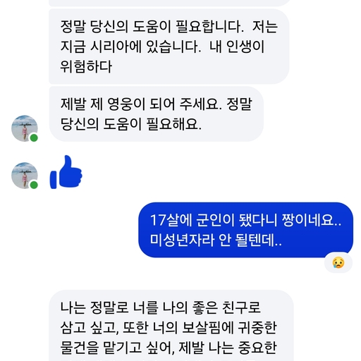 피드 이미지