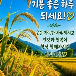 피드에 업로드 된 이미지