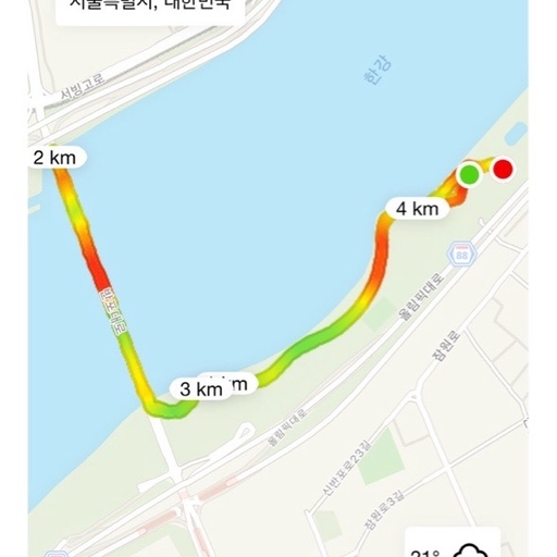 피드 이미지