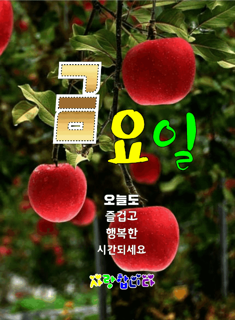 ํผ๋์ ์
๋ก๋ ๋ ์ด๋ฏธ์ง