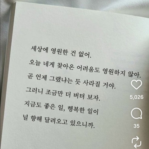 피드 이미지