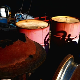 피드에 업로드 된 이미지