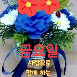 피드에 업로드 된 이미지