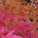 피드 작성자 프로필