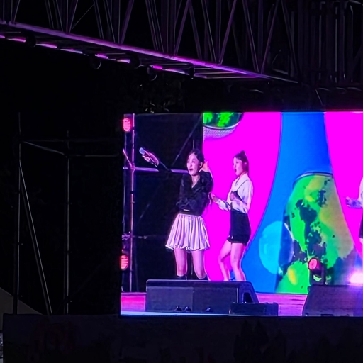 피드 이미지