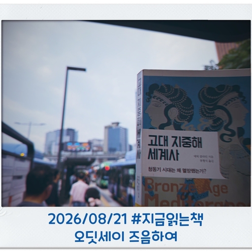 피드 이미지