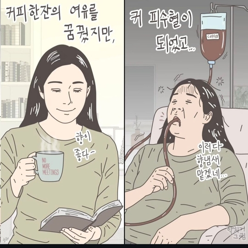 피드 이미지