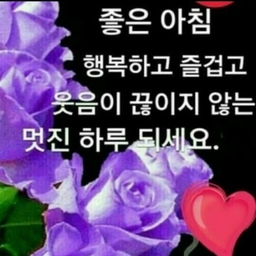 피드에 업로드 된 이미지