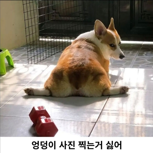 피드 이미지