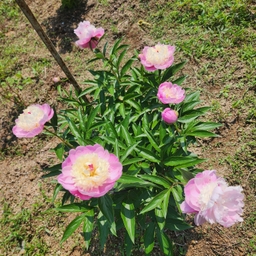 피드에 업로드 된 이미지