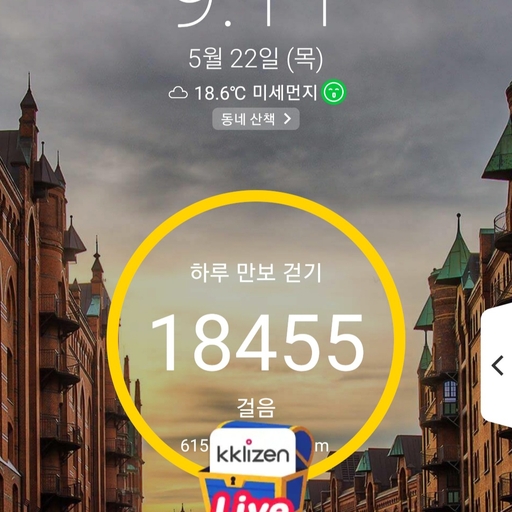 피드 이미지