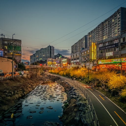 피드 이미지