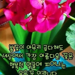 피드에 업로드 된 이미지