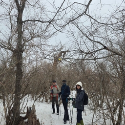 피드에 업로드 된 이미지