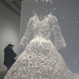 피드에 업로드 된 이미지