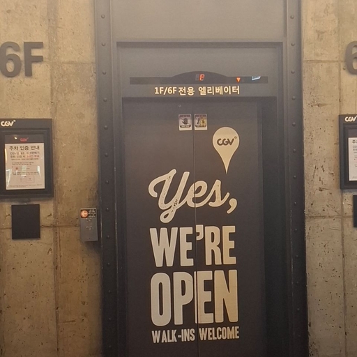 피드 이미지