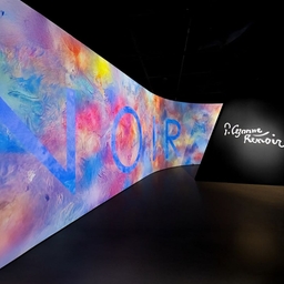 피드에 업로드 된 이미지