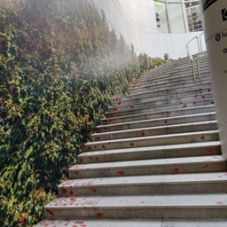 피드에 업로드 된 이미지