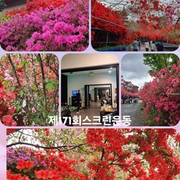 피드에 업로드 된 이미지
