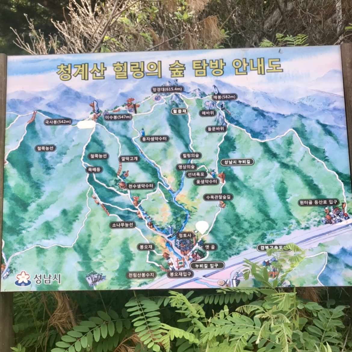 피드 이미지