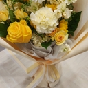 멤버 프로필