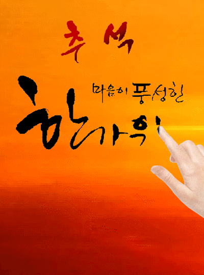 피드 이미지