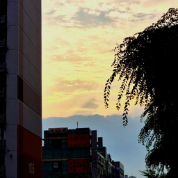 피드에 업로드 된 이미지