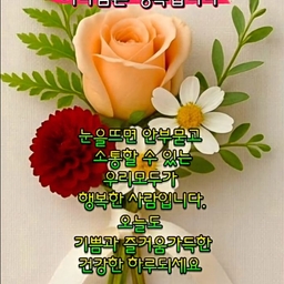 피드에 업로드 된 이미지