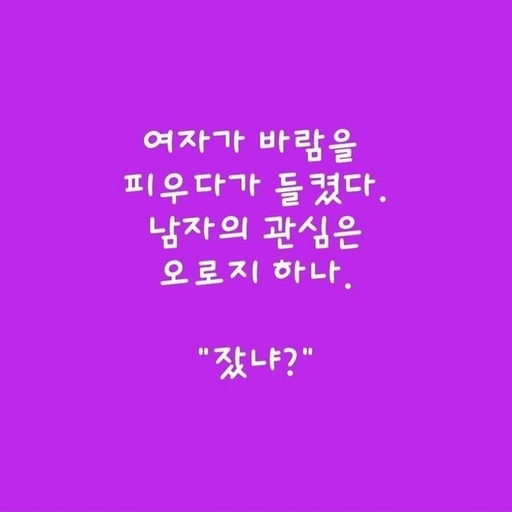 피드 이미지