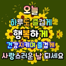 피드에 업로드 된 이미지